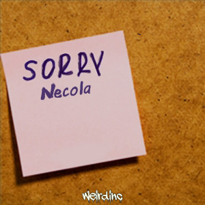 ดาวน์โหลดและฟังเพลง Sorry พร้อมเนื้อเพลงจาก Necola