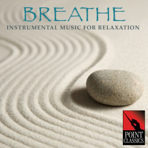 收聽The Bohemian Embassy的Concerto For Two Violins, Strings, Basso Continuo And Orchestra In D Minor BWV 1043: Largo Ma Non Tanto歌詞歌曲
