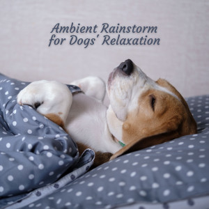 Dog Chill Out Music的专辑Ambient Rainstorm for Dogs' Relaxation