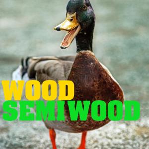 Semi Wood (Explicit)