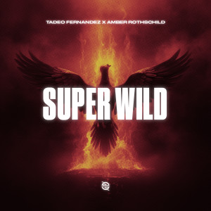 ดาวน์โหลดและฟังเพลง Super Wild พร้อมเนื้อเพลงจาก Tadeo Fernández