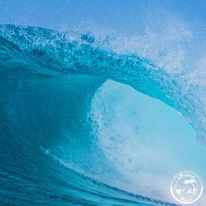 Album Surfin' Bird from skrn