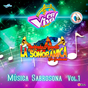 收聽Marimba Orquesta La Sonoramica de Guatemala的Mix Sabrosas: Cumbias / Picky / Ginza / Cumbia del Acordeón (En Vivo)歌詞歌曲