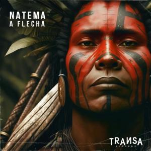 Dengarkan lagu A Flecha (Explicit) nyanyian Natema dengan lirik
