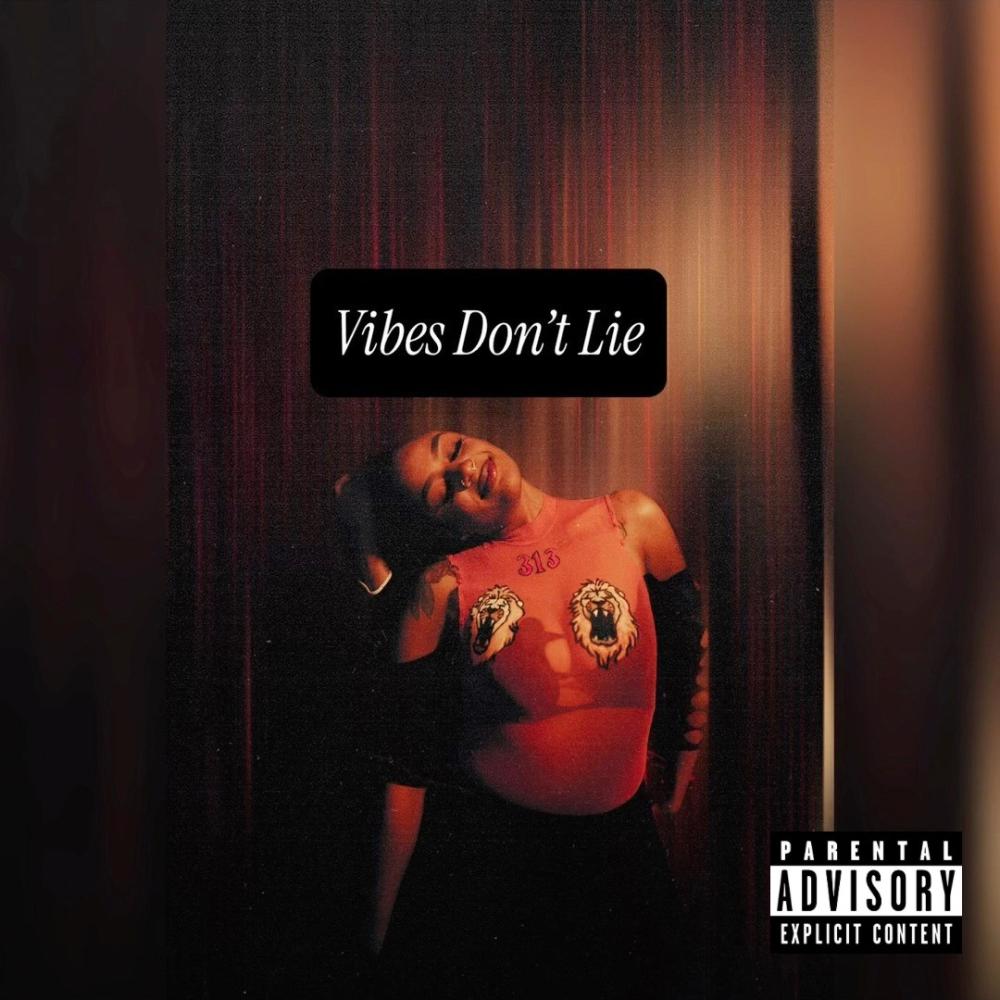 Vibes Don't Lie Freestyle (Explicit)