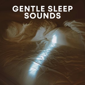 Sleepy Mood的專輯Gentle Sleep Sounds