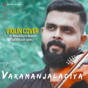 Vidhu Prathap的專輯Varamanjaladiya (Recreated Version)