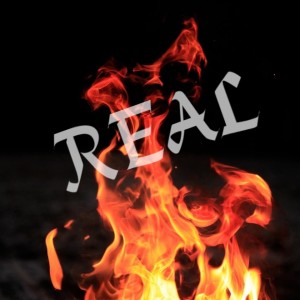 펑크파인애플的專輯Real