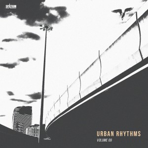 ดาวน์โหลดและฟังเพลง Performance (Tom Strobe Remix) พร้อมเนื้อเพลงจาก R.I.B.