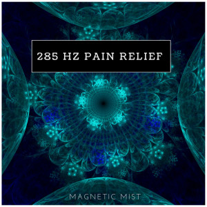 ดาวน์โหลดและฟังเพลง 285 Hz Rejuvenated Energy พร้อมเนื้อเพลงจาก Magnetic Mist