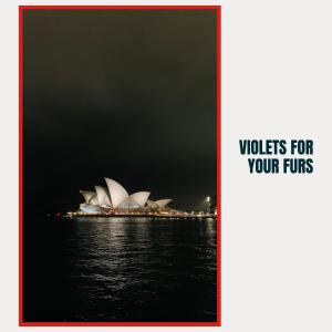 Dengarkan Violets for Your Furs lagu dari Billie Holiday dengan lirik