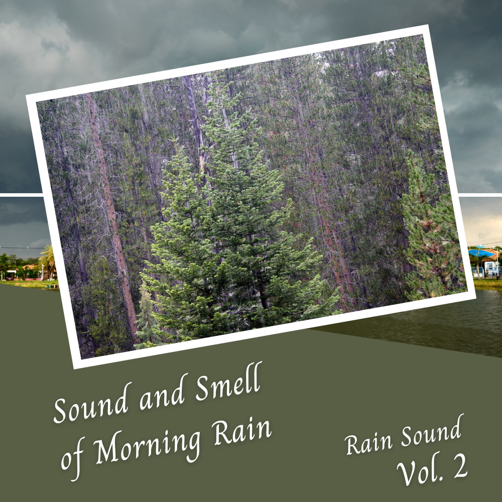 Rain Sound: Sound and Smell of Morning Rain Vol. 2 - 2 Hours