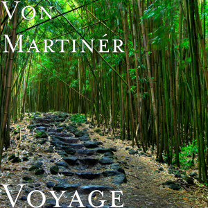 收聽Von Martinér的Scientists歌詞歌曲