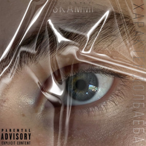 Listen to Поделюсь с братаном song with lyrics from Skammi