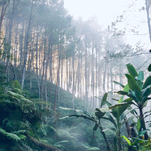 ดาวน์โหลดและฟังเพลง Sleep Music พร้อมเนื้อเพลงจาก Relaxing Music