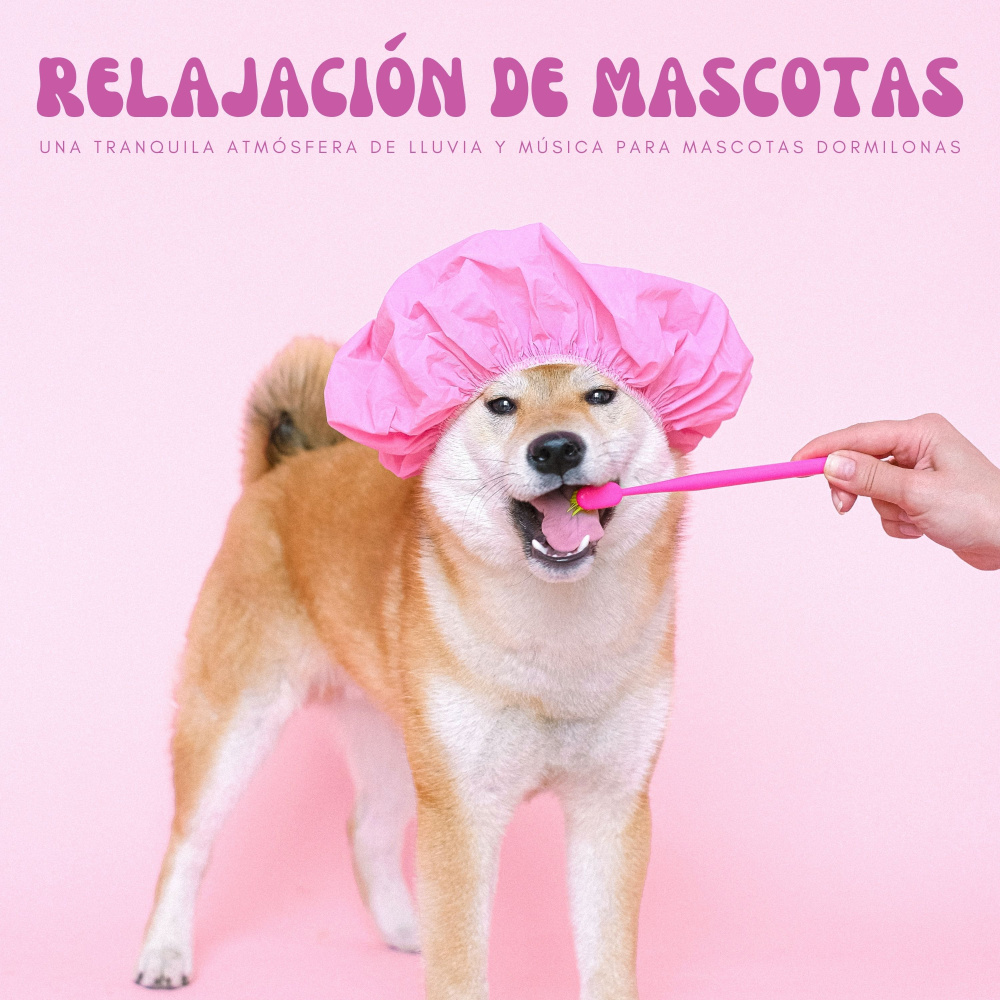 Buen Chico
