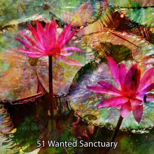 Album 51 Wanted Sanctuary oleh Hz Meditation Experience