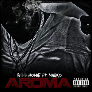 ดาวน์โหลดและฟังเพลง Aroma (Explicit) พร้อมเนื้อเพลงจาก Bigg Homie