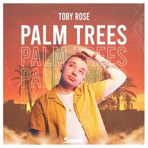 Listen to Palm Trees song with lyrics from Toby Rose