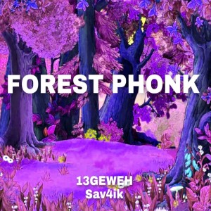 Listen to FOREST PHONK song with lyrics from 13GEWEH