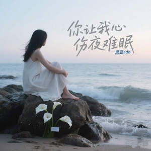 Album 你让我心伤夜难眠 from 黑豆ado