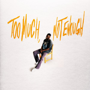 Kavale的專輯TOO MUCH, NOT ENOUGH