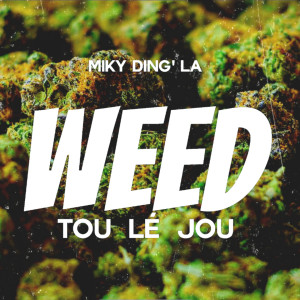 Dengarkan ** tou lé jou (Explicit) lagu dari Miky Ding La dengan lirik