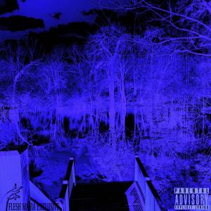 收聽Serial的WANNA (feat. SADDVA) (Explicit)歌詞歌曲