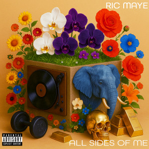 Listen to Push Me, Pull Me (Explicit) song with lyrics from Ric Maye