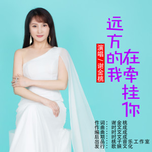 Listen to 远方的我在牵挂你 (伴奏) song with lyrics from 谢金桃