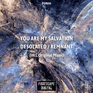 Dengarkan lagu Desolated (Original Mix) nyanyian You Are My Salvation dengan lirik