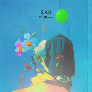 Album Wildflower from SiAN