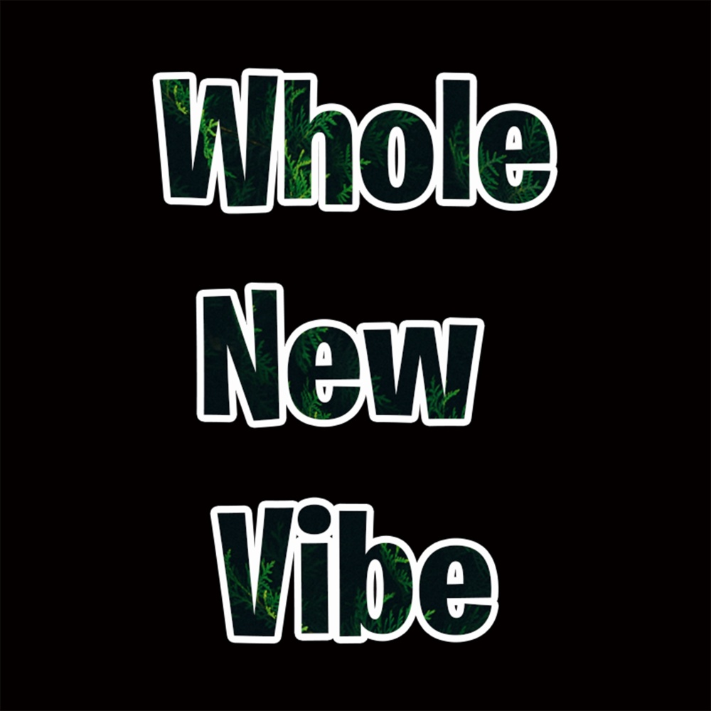 Whole New Vibe (Explicit)