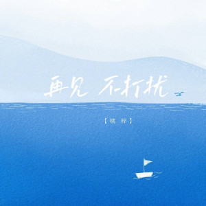 Listen to 再见不打扰 (伴奏) song with lyrics from 桃梓