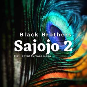 Listen to Sajojo 2 song with lyrics from Black Brothers