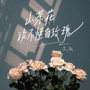 收聽艾辰的山茶花讀不懂白玫瑰 (溫柔男聲版)歌詞歌曲