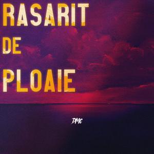 Album Rasarit De Ploaie oleh DMC (Got2b)