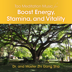 Tao Meditation Music to Boost Energy, Stamina, and Vitality dari Dr. & Master Zhi Gang Sha
