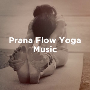 Positive Thinking: Music To Develop A Complete Meditation Mindset For Yoga的專輯Prana Flow Yoga Music