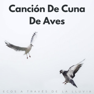 Album Canción De Cuna De Aves: Ecos A Través De La Lluvia oleh Juegos de lluvia
