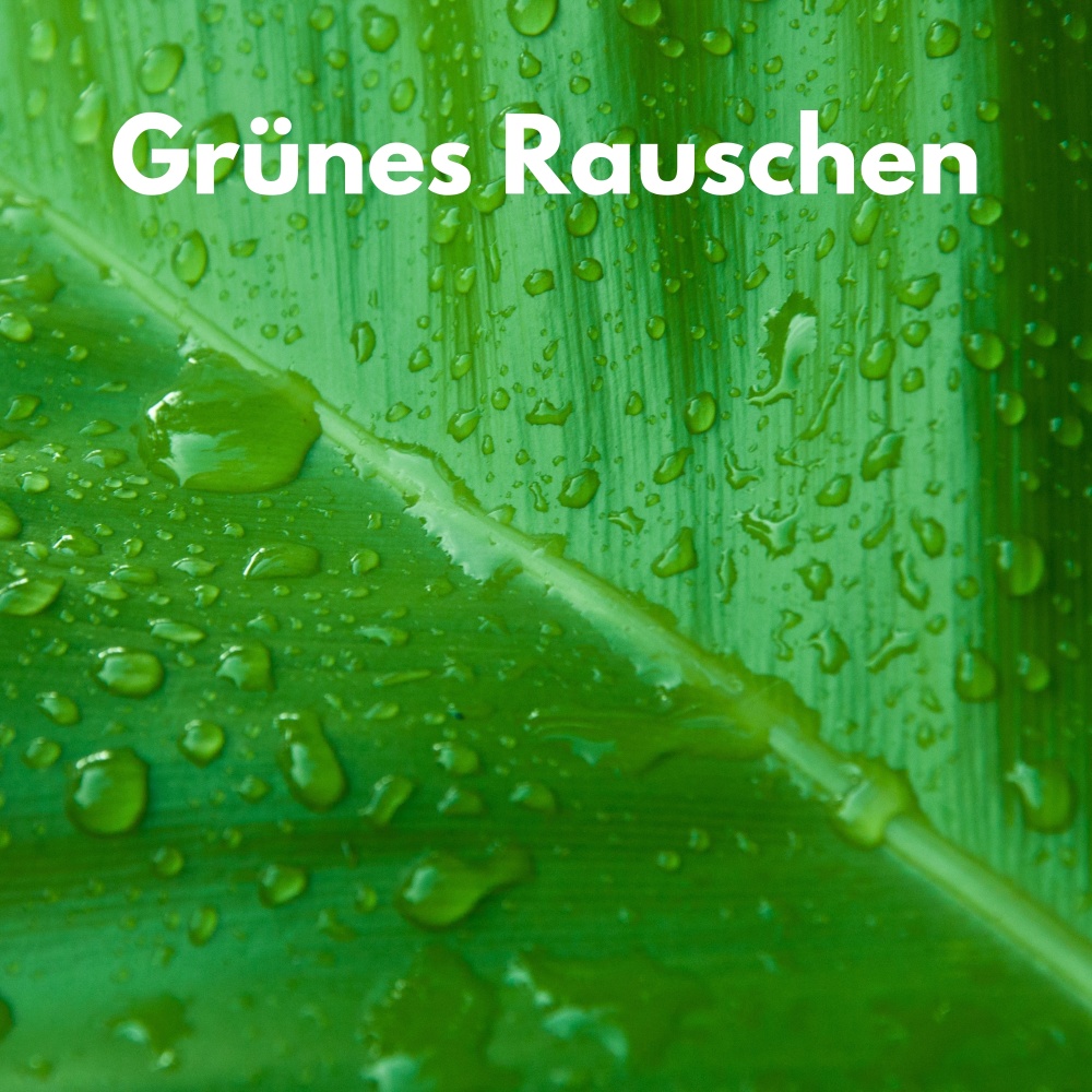 Grünes Rauschen Gerät