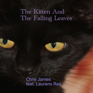 อัลบัม The Kitten and the Falling Leaves ศิลปิน Laurens Reij