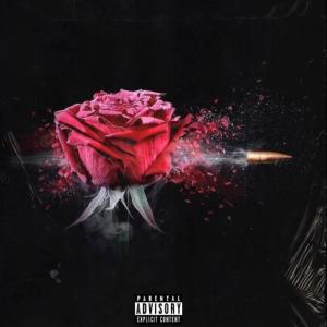 ดาวน์โหลดและฟังเพลง HIM (Explicit) พร้อมเนื้อเพลงจาก Zae Stone