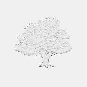 Listen to 2pretty song with lyrics from Rinothekidd