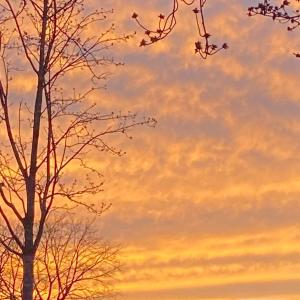 Listen to no, why? song with lyrics from Red Sky