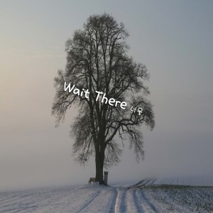 Wait There