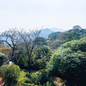 收聽William M. Chitedze的Always (feat. Shammah Vocals)歌詞歌曲