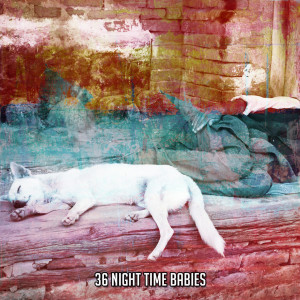 Baby Music的专辑36 Night Time Babies