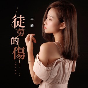 ดาวน์โหลดและฟังเพลง 徒勞的傷 (完整版) พร้อมเนื้อเพลงจาก 王晴