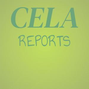 ดาวน์โหลดและฟังเพลง Cela Reports พร้อมเนื้อเพลงจาก Cand Roels